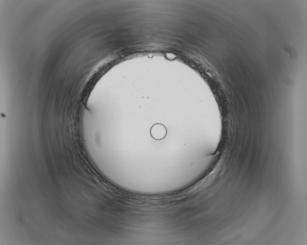 X0000112831210200910021215