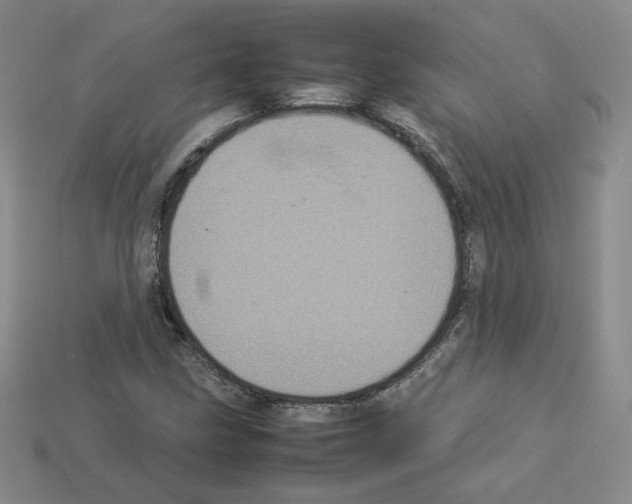 X0000112831211200910021215