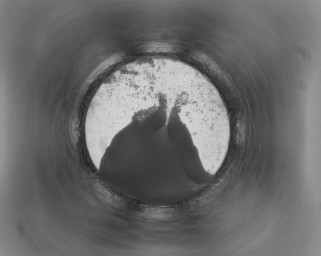 X0000112831213200910021215