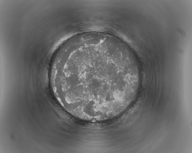 X0000112831214200910021215