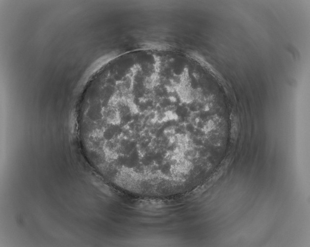 X0000112831215200910021215