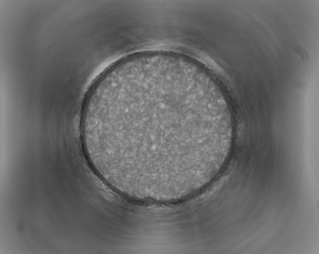 X0000112831216200910021215