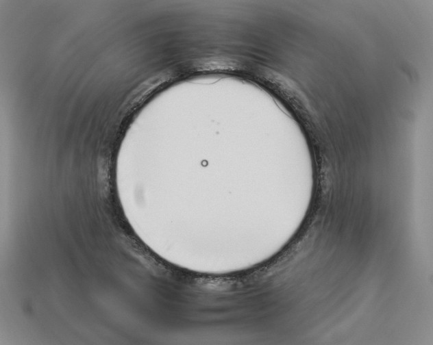 X0000112831217200910021215