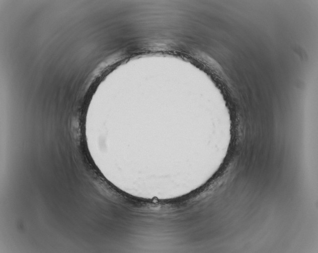 X0000112831218200910021215