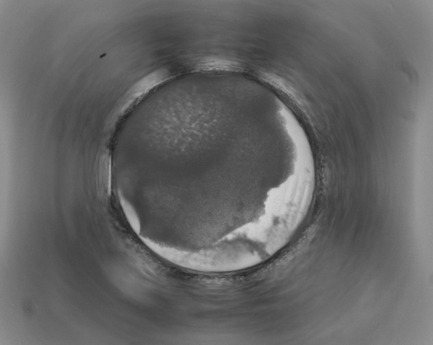 X0000112831219200910021216