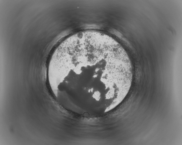 X0000112831221200910021216