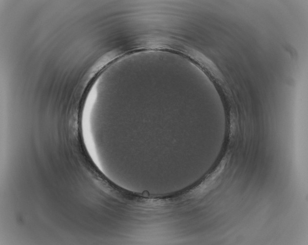 X0000112831226200910021216