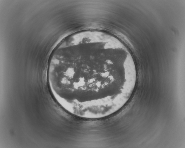 X0000112831228200910021216