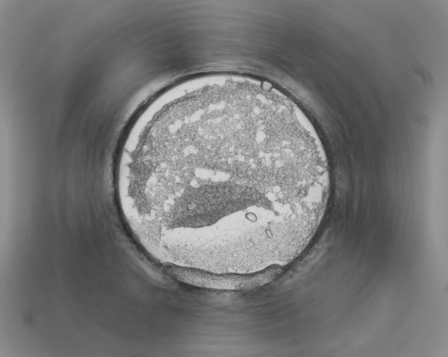 X0000112831230200910021216