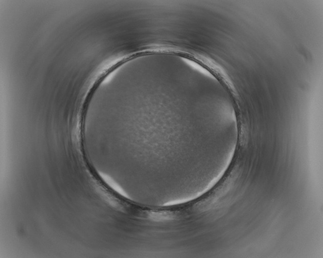 X0000112831231200910021216