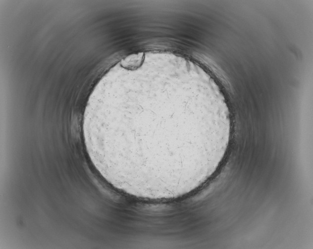 X0000112831233200910021216