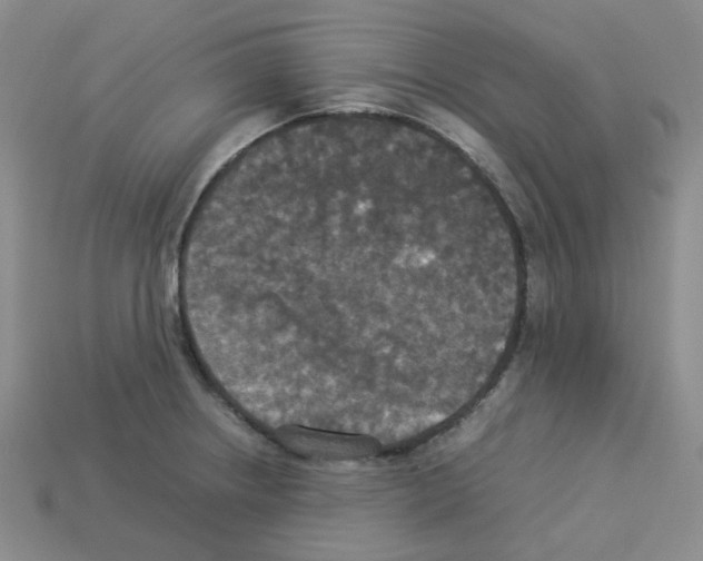 X0000112831234200910021216