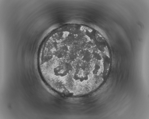 X0000112831237200910021216