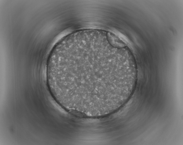 X0000112831238200910021216