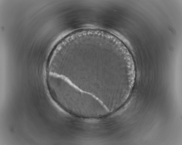 X0000112831239200910021216