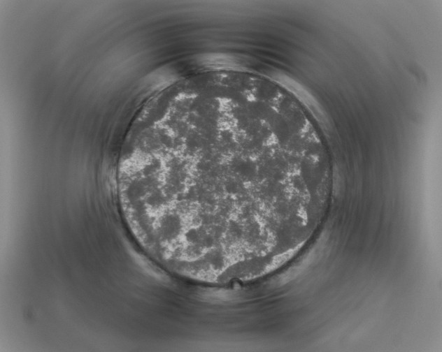 X0000112831241200910021216