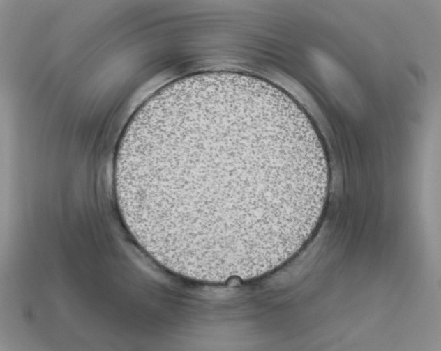 X0000112831242200910021216