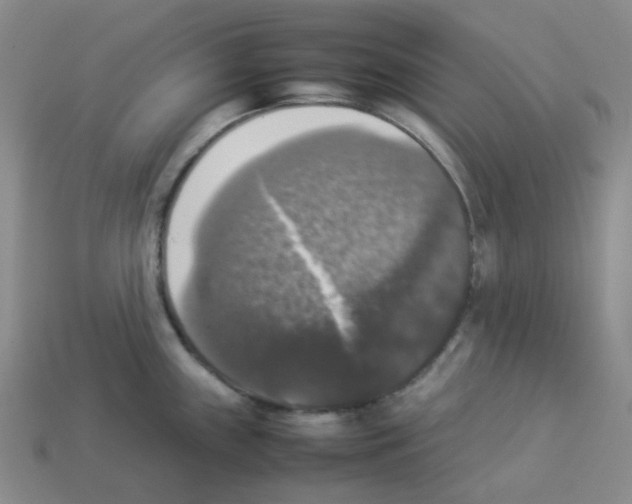 X0000112831243200910021216