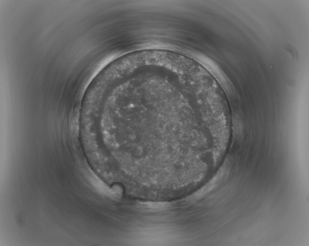 X0000112831244200910021216