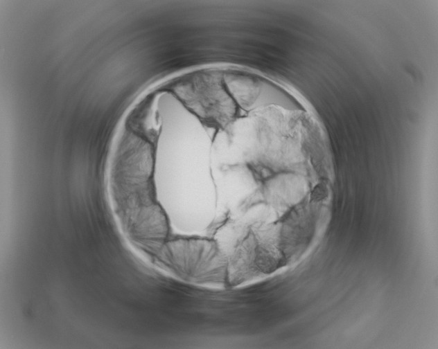 X0000112831245200910021216