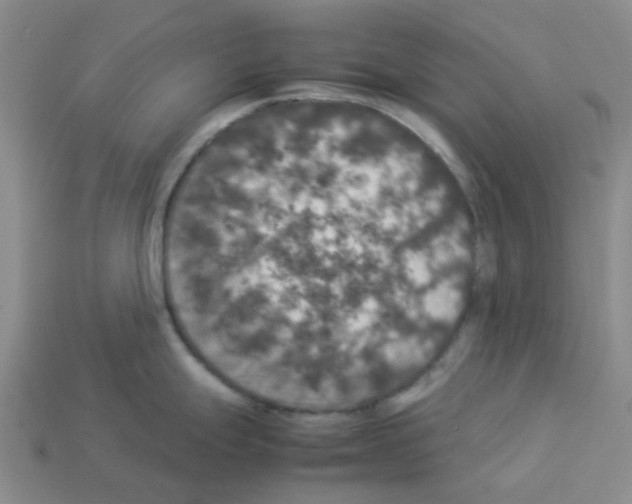 X0000112831247200910021216