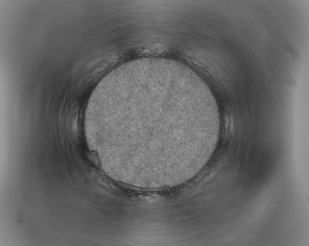 X0000112831250200910021215