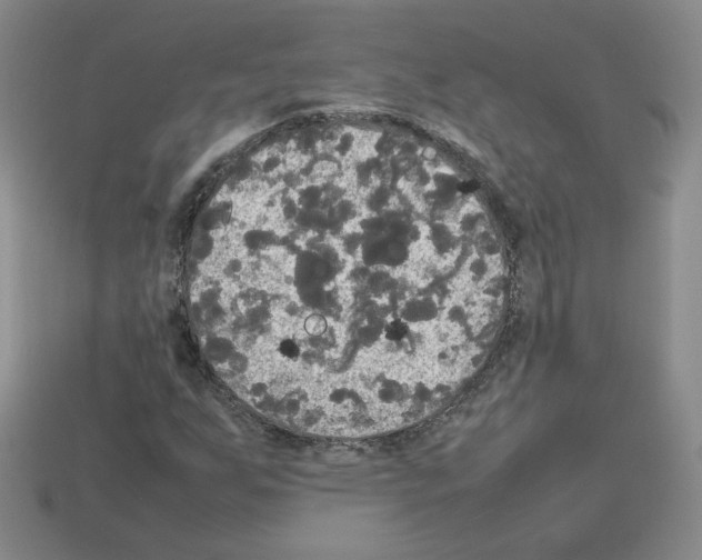 X0000112831255200910021215