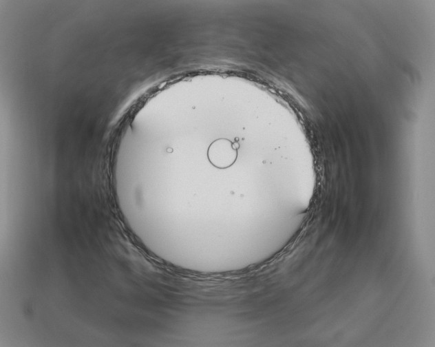 X0000112831256200910021215