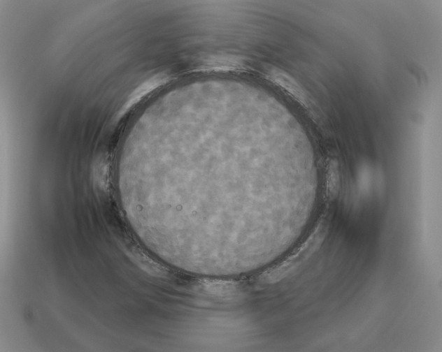 X0000112831258200910021215