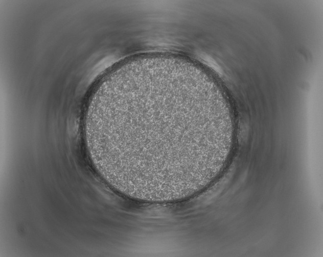 X0000112831259200910021215