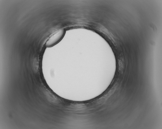 X0000112831260200910021215