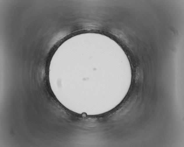 X0000112831261200910021215