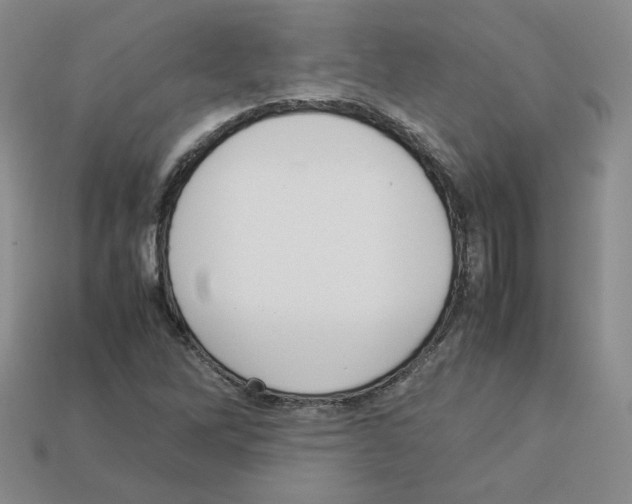 X0000112831262200910021215