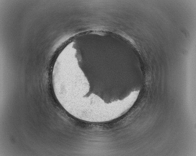 X0000112831263200910021215