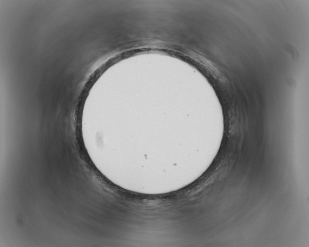 X0000112831264200910021215