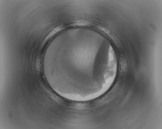 X0000112831266200910021215