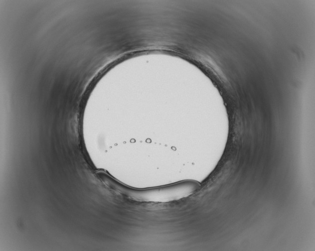 X0000112831268200910021215