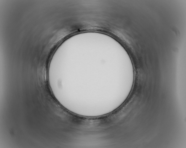 X0000112831269200910021215