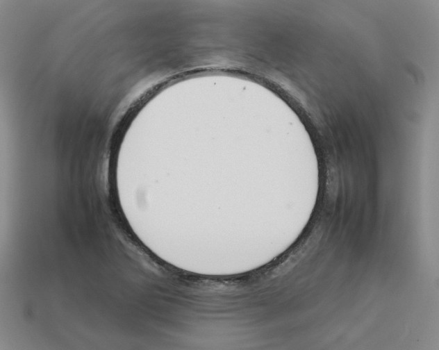 X0000112831270200910021215