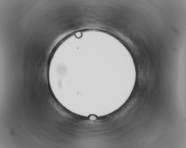 X0000112831272200910021215