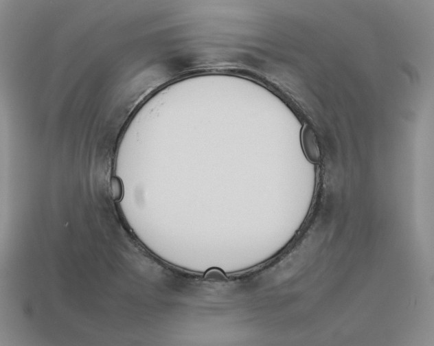 X0000112831273200910021215