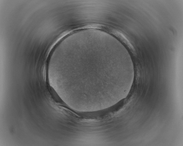 X0000112831276200910021215