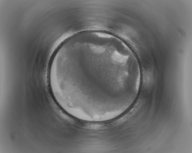 X0000112831278200910021215