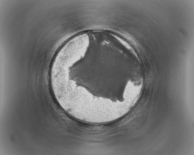 X0000112831279200910021215