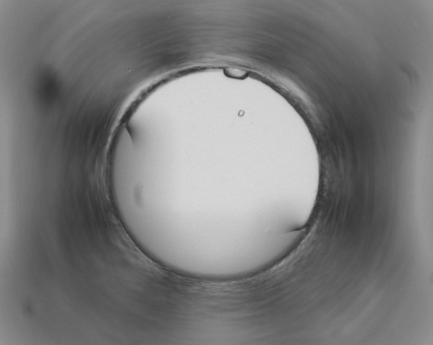 X0000112831280200910021215