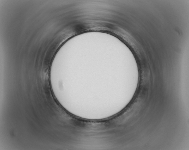 X0000112831281200910021215