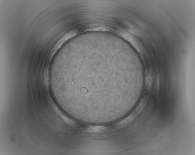 X0000112831282200910021215