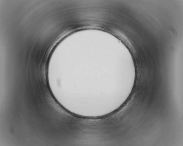 X0000112831284200910021215