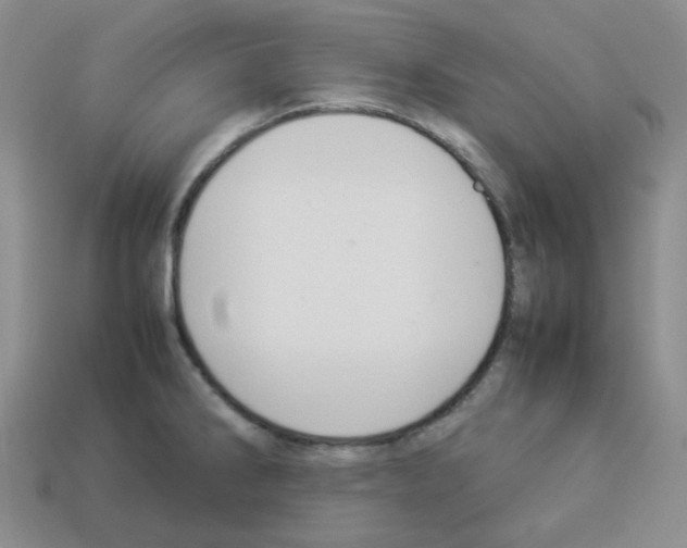 X0000112831286200910021215