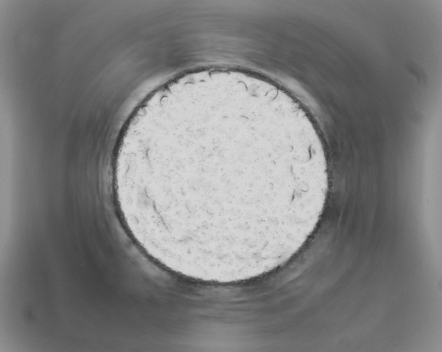 X0000112831287200910021215